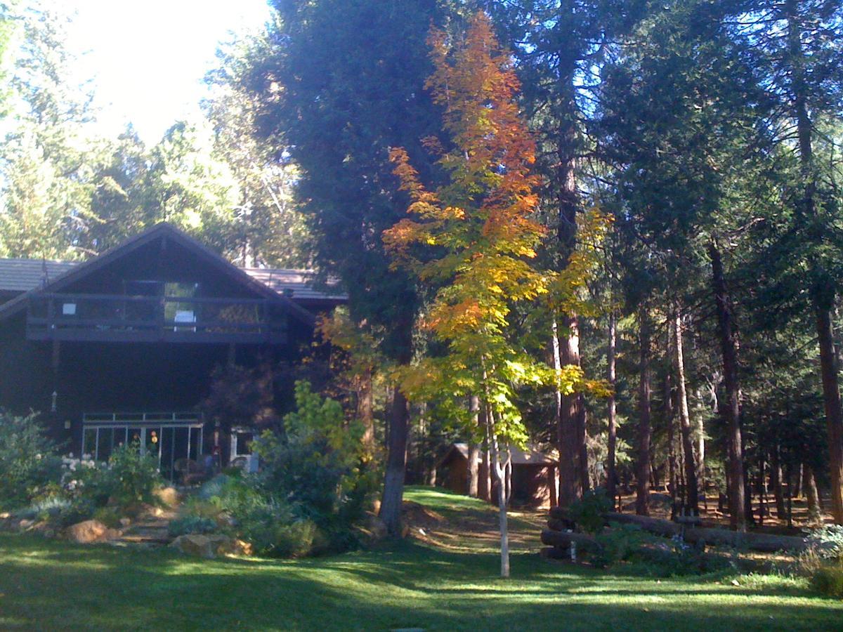 Harmony Ridge Lodge مدينة نيفادا المظهر الخارجي الصورة
