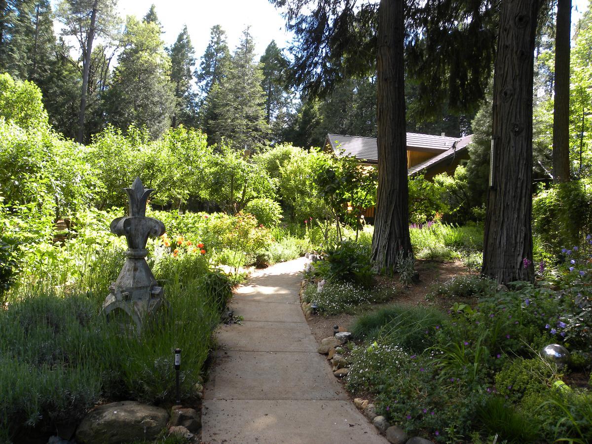 Harmony Ridge Lodge مدينة نيفادا المظهر الخارجي الصورة
