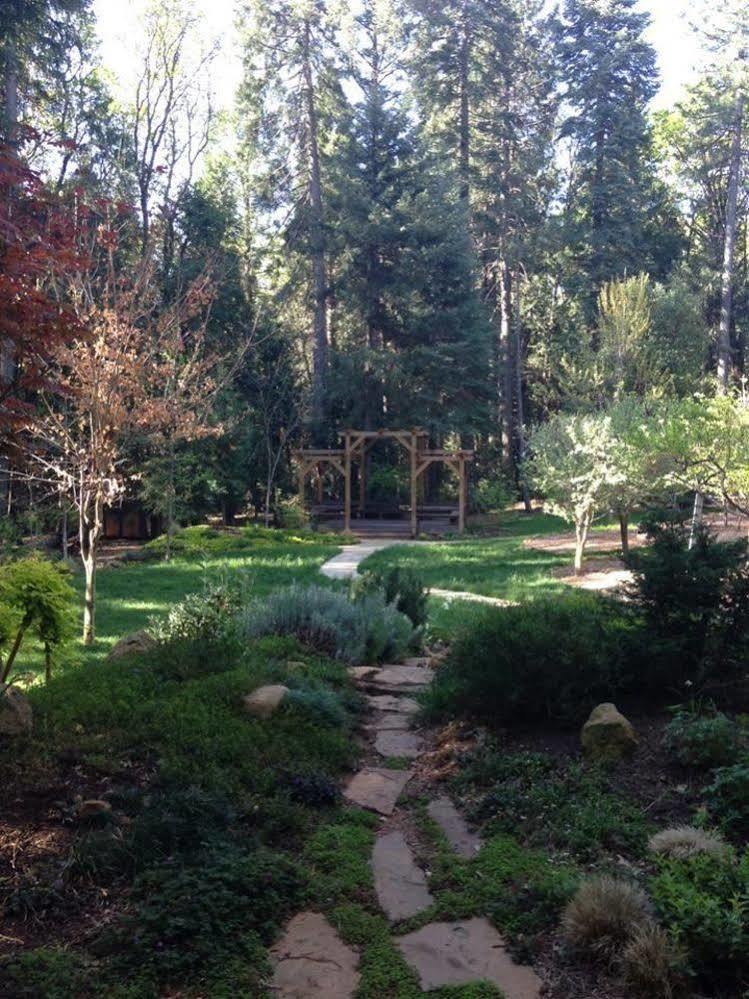 Harmony Ridge Lodge مدينة نيفادا المظهر الخارجي الصورة