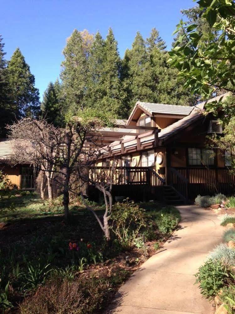 Harmony Ridge Lodge مدينة نيفادا المظهر الخارجي الصورة